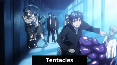 all the way through tentacle|Explore the Best Tentacle